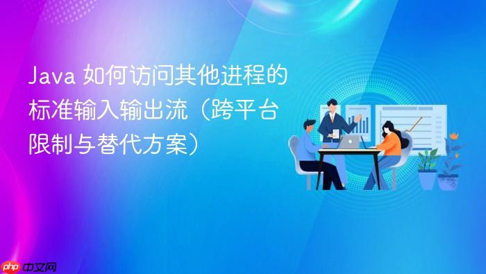 Java 如何访问其他进程的标准输入输出流（跨平台限制与替代方案）

