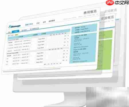 8Manage项目管理核心问题解析