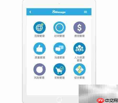 8Manage项目管理核心问题解析
