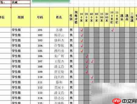 智能田径运动会编排软件推荐
