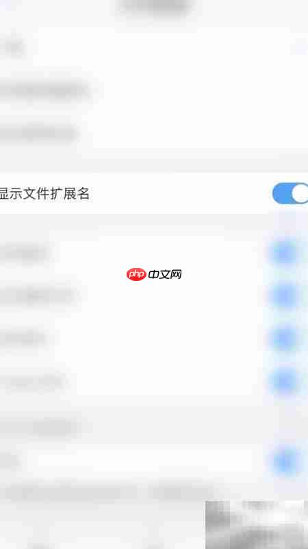 PDF Expert开启文件扩展名方法