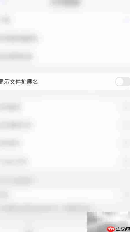 PDF Expert开启文件扩展名方法