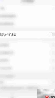 PDF Expert开启文件扩展名方法