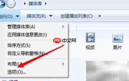 WMP如何关闭自动下载权限