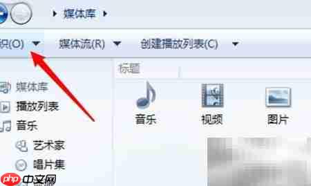 WMP如何关闭自动下载权限