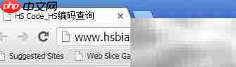 HS编码查询方法指南