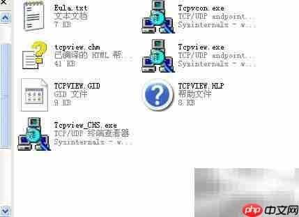查看进程识别病毒