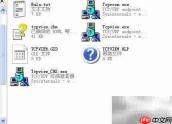 查看进程识别病毒