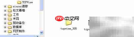 查看进程识别病毒