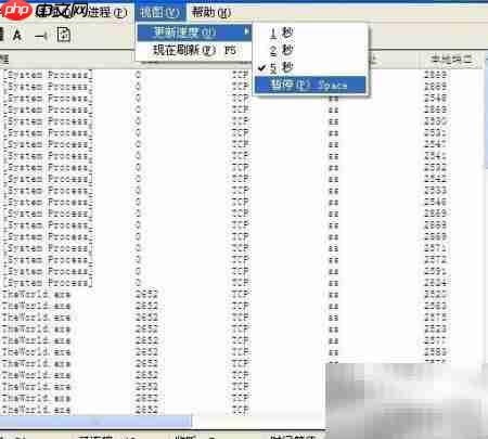 查看进程识别病毒