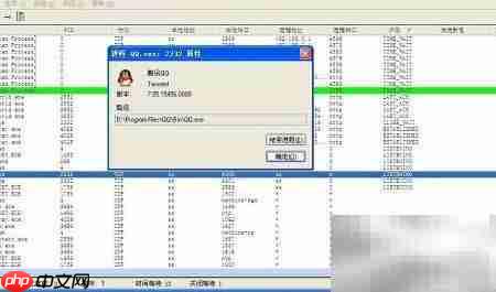 查看进程识别病毒