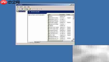 2003系统中图形化开启Services