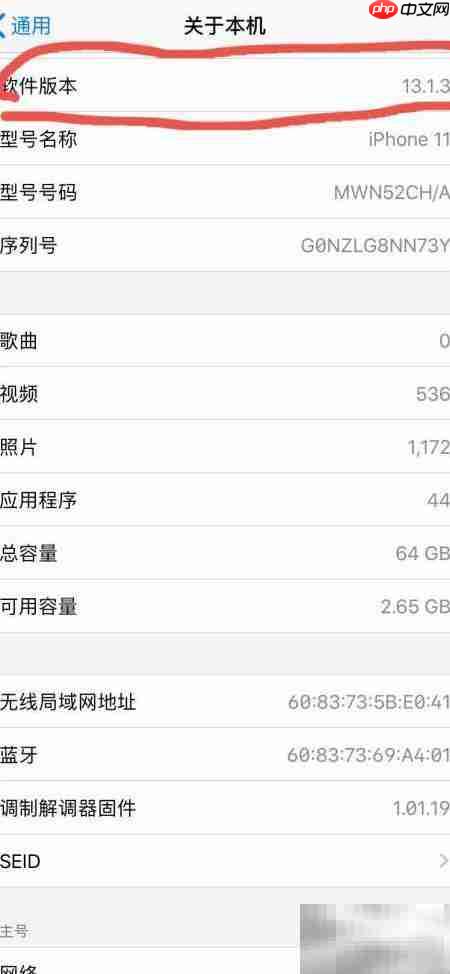 iPhone11拍照现小绿点原因解析