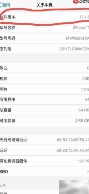 iPhone11拍照现小绿点原因解析