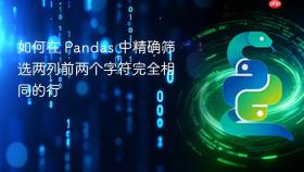 如何在 Pandas 中精确筛选两列前两个字符完全相同的行