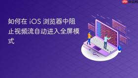 如何在 iOS 浏览器中阻止视频流自动进入全屏模式
