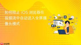 如何阻止 iOS 浏览器在视频流中自动进入全屏摄像头模式