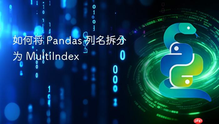 如何将 Pandas 列名拆分为 MultiIndex