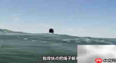 迅雷影音在线匹配字幕教程