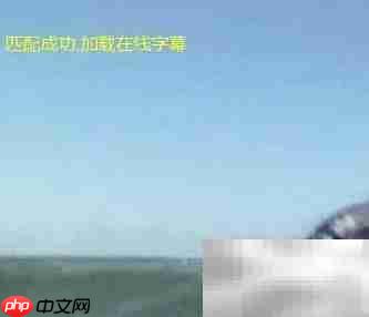 迅雷影音在线匹配字幕教程