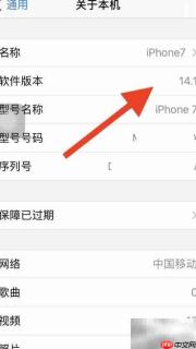 苹果屏幕小绿点原因揭秘