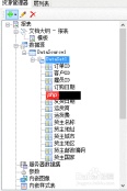 ActiveReports数据源连接