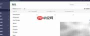 ActiveReports权限集成指南