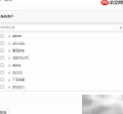 ActiveReports权限集成指南