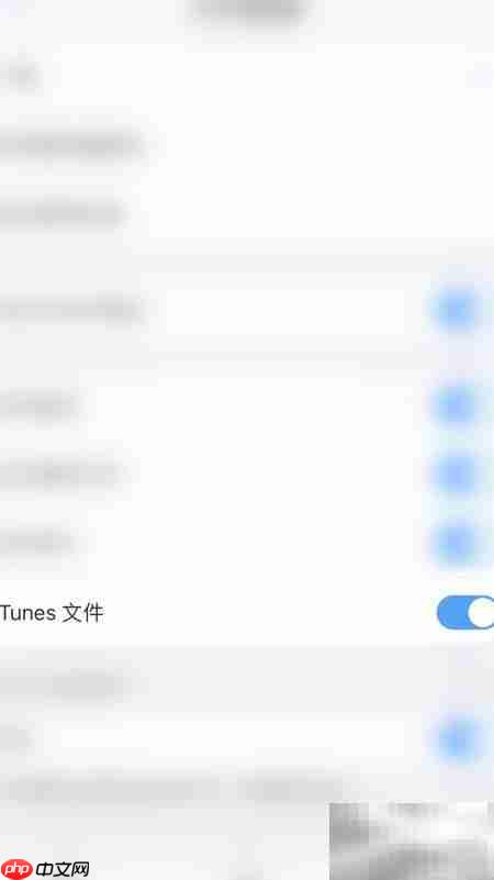PDF Expert开启iTunes文件指南