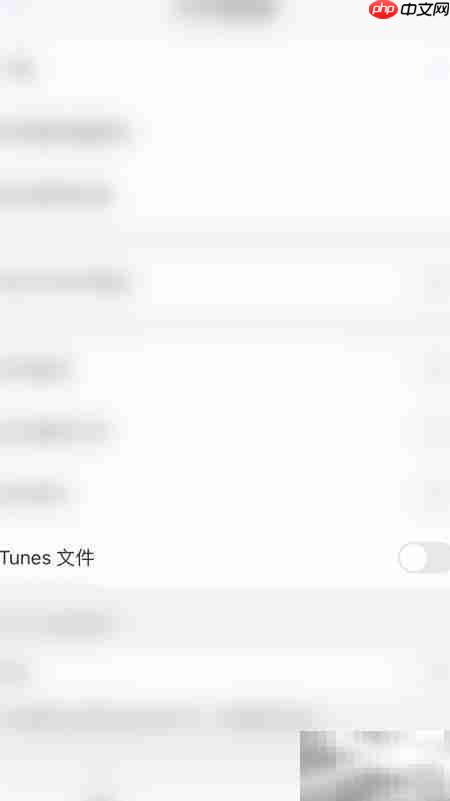 PDF Expert开启iTunes文件指南