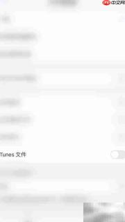 PDF Expert开启iTunes文件指南