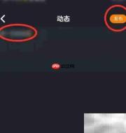 玩app动态发布指南