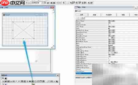 VF6.0表单图像控件属性