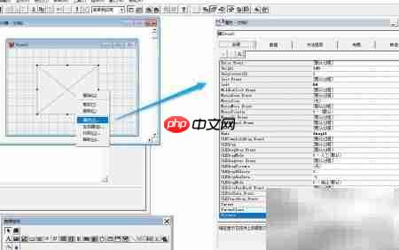 VF6.0表单图像控件属性