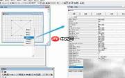 VF6.0表单图像控件属性
