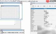 VF6.0表单图像控件属性