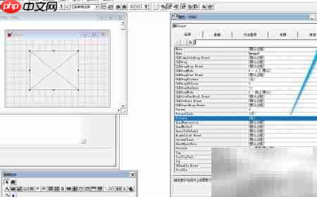 VF6.0表单图像控件属性