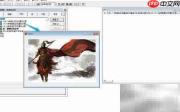VF6.0表单图像控件属性