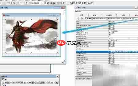 VF6.0表单图像控件属性