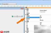 Foxtable进度条控件使用技巧