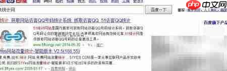 添加统计代码查访客数据