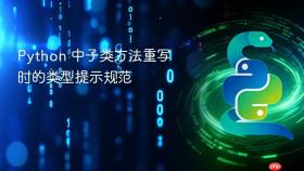 Python 中子类方法重写时的类型提示规范