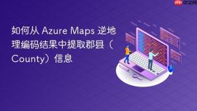 如何从 Azure Maps 逆地理编码结果中提取郡县(County)信息