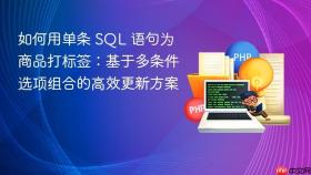 如何用单条 SQL 语句为商品打标签：基于多条件选项组合的高效更新方案
