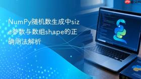 NumPy随机数生成中size参数与数组shape的正确用法解析