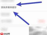 如何开启趣声缓存清除功能
