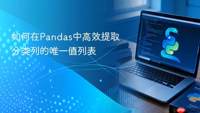 如何在Pandas中高效提取分类列的唯一值列表