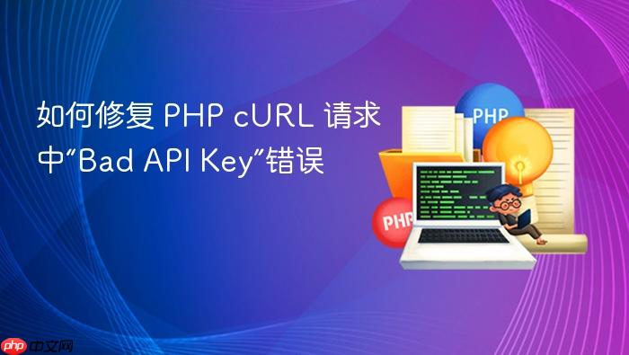 如何修复 PHP cURL 请求中“Bad API Key”错误