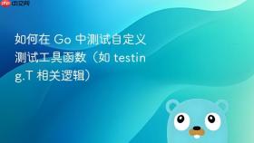 如何在 Go 中测试自定义测试工具函数（如 testing.T 相关逻辑）