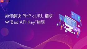 如何解决 PHP cURL 请求中“Bad API Key”错误
